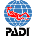 padi-logo-vertical